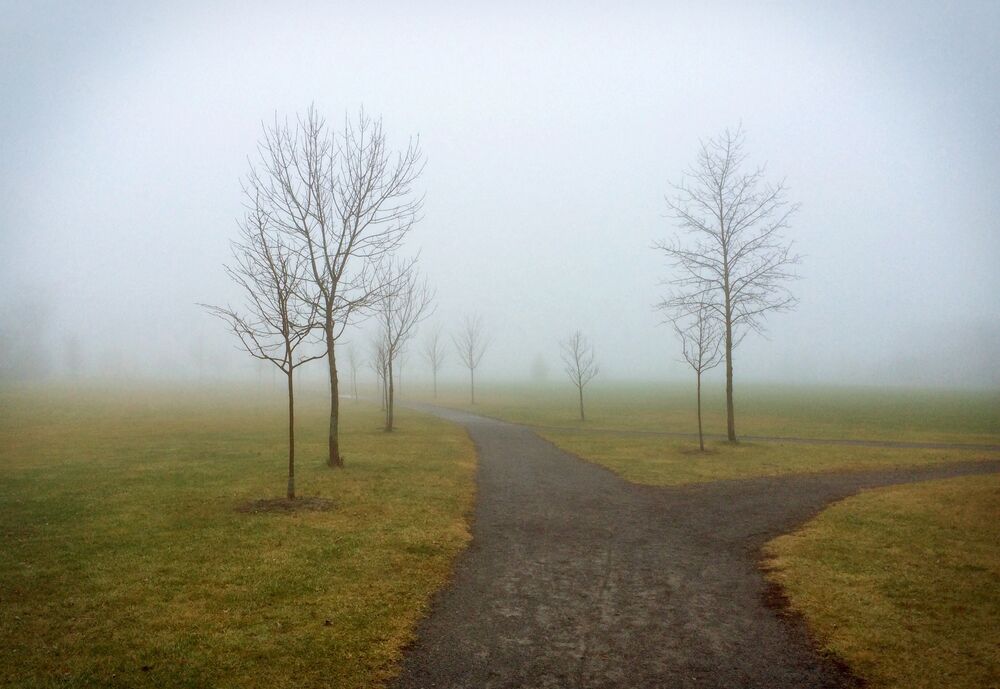 Single oder Multi Family Office – Zwei Wege