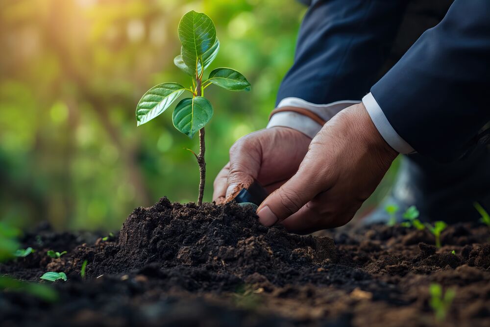 Von Seed bis IPO – Finanzierungsrunden