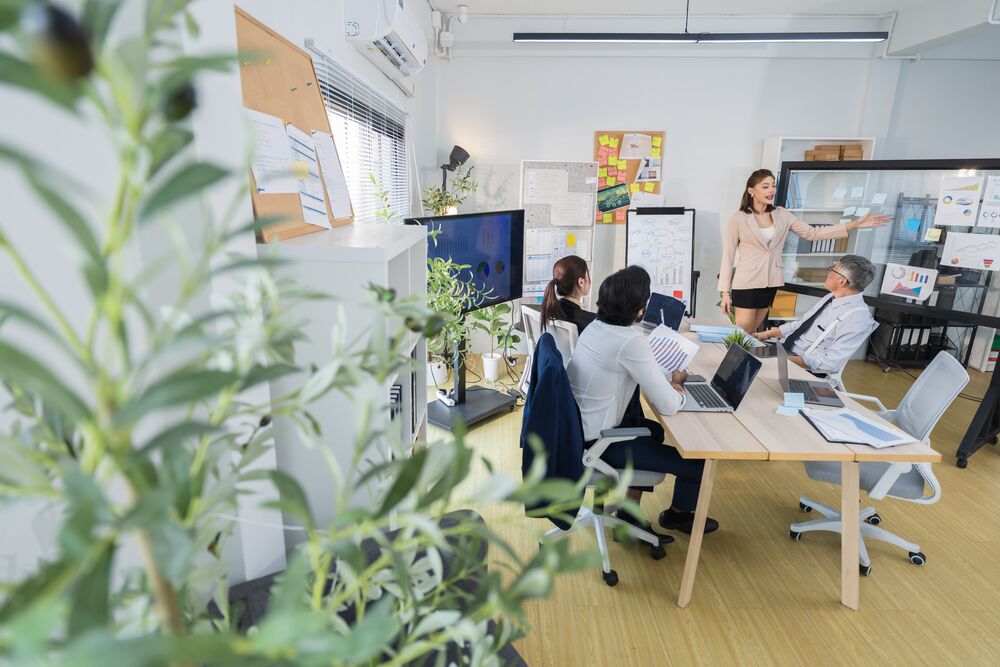 Wachstumsunternehmen im Aufbau